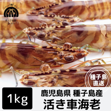 绺 褭ֳϷ 1kg