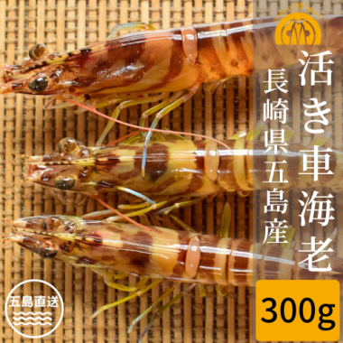 绺 褭ֳϷ 300g