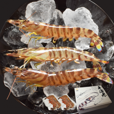 �ץ��ȥ�����ֳ�Ϸ 500g (10��16��) (250g����2pc)