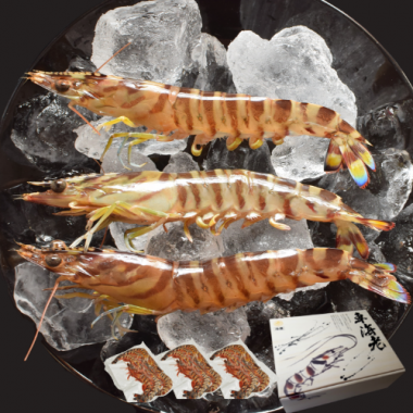 �ץ��ȥ�����ֳ�Ϸ 750g (15��24��) (250g����3pc)