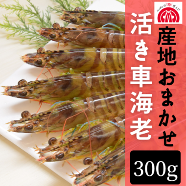 Ϥޤ 褭ֳϷ300g<img class='new_mark_img2' src='https://img.shop-pro.jp/img/new/icons61.gif' style='border:none;display:inline;margin:0px;padding:0px;width:auto;' />