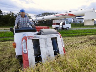 2022年産低農薬栽培コシヒカリ・玄米30ｋｇ又は精米約27ｋｇ
