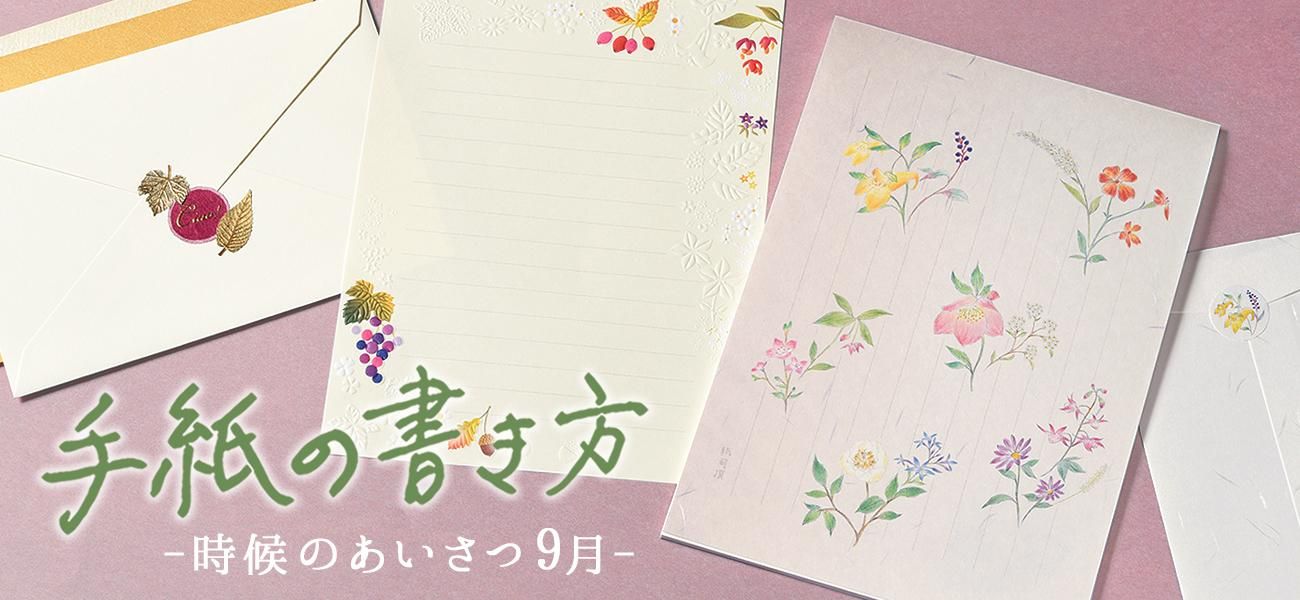 通常葉書　ひめゆり　151枚 葉書箋 OtO no Ha | scopebungu