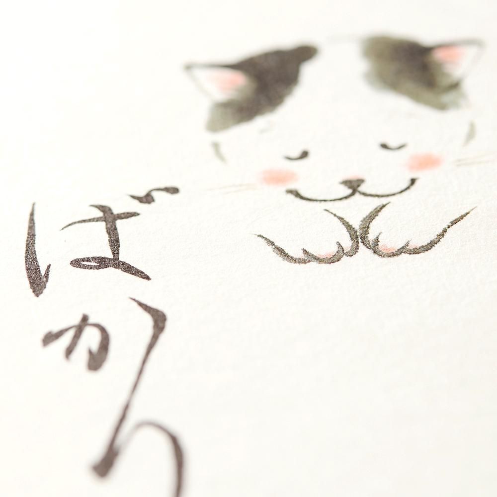金封 文字入り こころばかり 猫 レター カード専門店 G C Press Online Shop