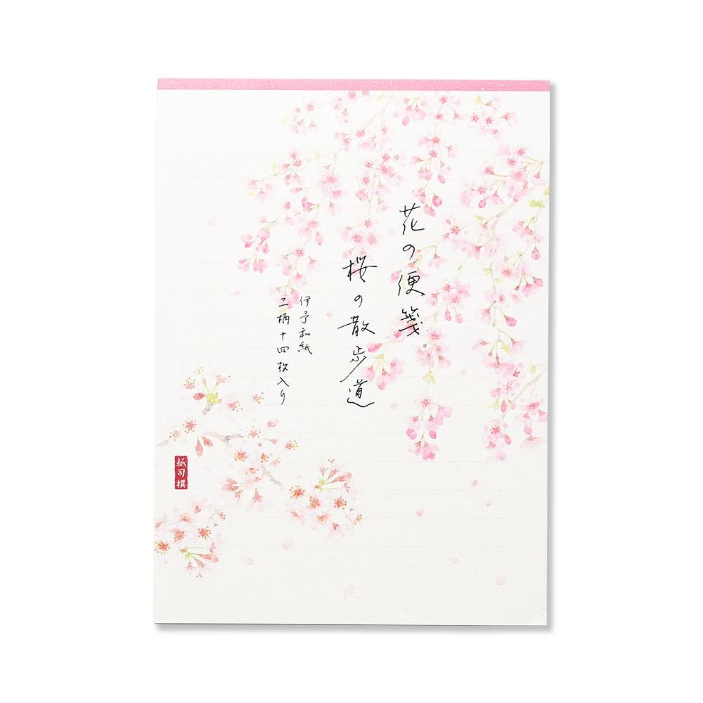 紙司撰 便箋 花の便箋 桜の散歩道 横罫線入り レター カード専門店 G C Press Online Shop