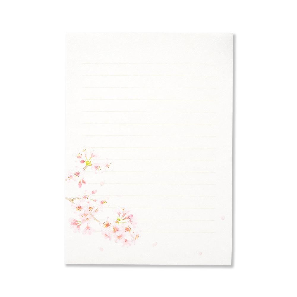 紙司撰 便箋 花の便箋 桜の散歩道 横罫線入り レター カード専門店 G C Press Online Shop 紙司撰 便箋 花の便箋 桜の散歩道 横罫線入り レター カード専門店 G C Press Online Shop