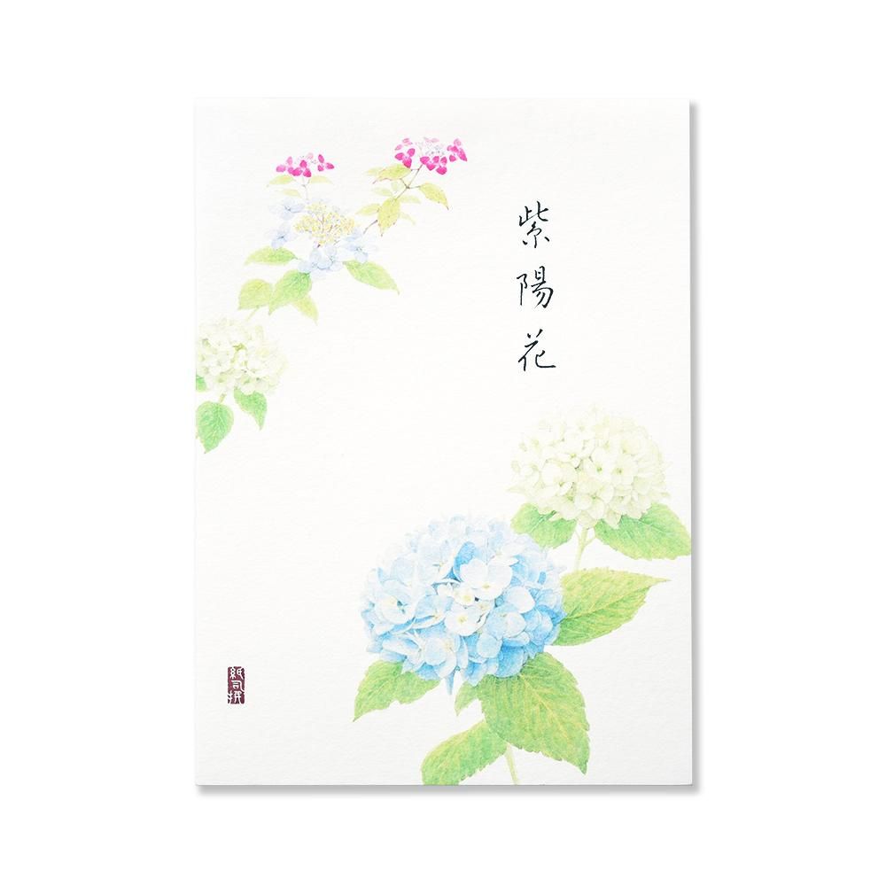 紙司撰 便箋 紫陽花 レター カード専門店 G C Press Online Shop 紙司撰 便箋 紫陽花 レター カード専門店 G C Press Online Shop