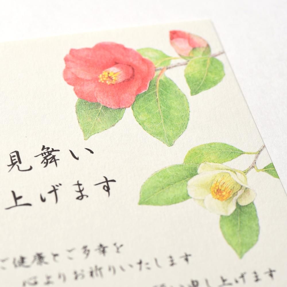 寒中見舞いはがき 椿と千両 レター カード専門店 G C Press Online Shop