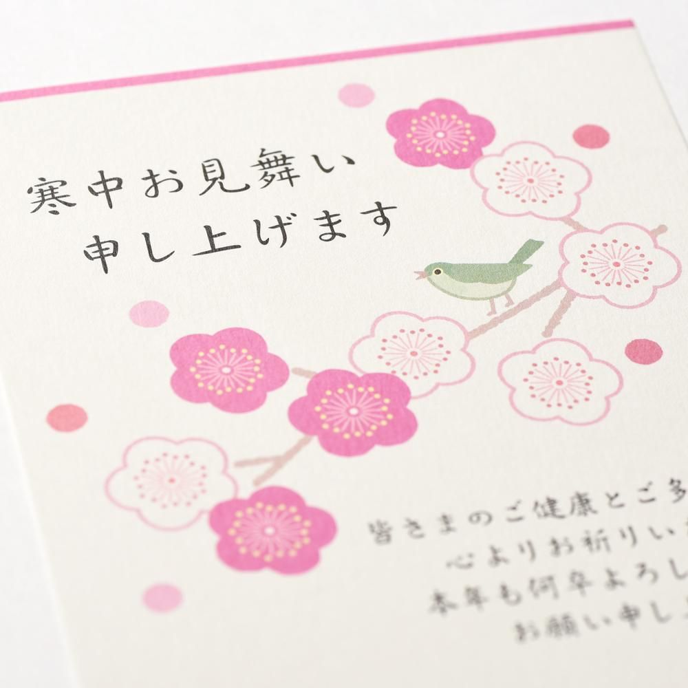 寒中見舞いはがき うぐいすと梅 レター カード専門店 G C Press Online Shop 寒中見舞いはがき うぐいすと梅 レター カード専門店 G C Press Online Shop