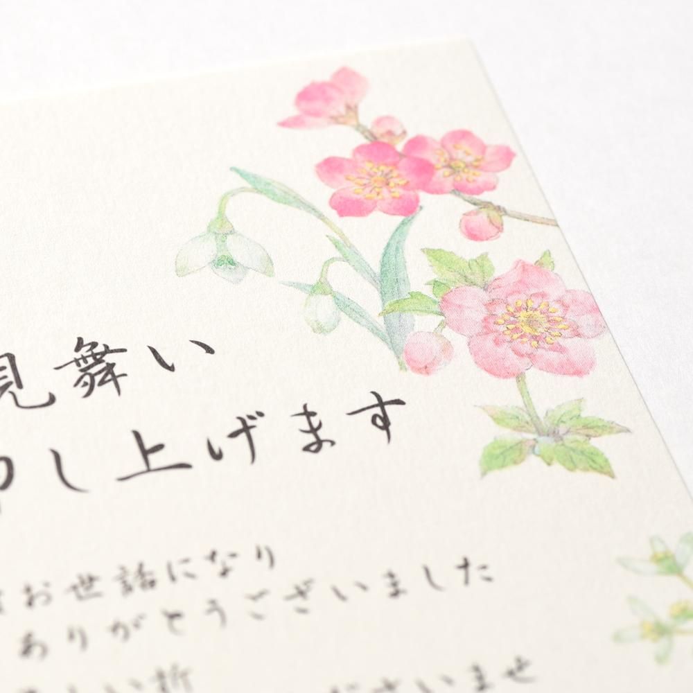 寒中見舞いはがき ウィンターガーデン レター カード専門店 G C Press Online Shop 寒中見舞いはがき ウィンターガーデン レター カード専門店 G C Press Online Shop
