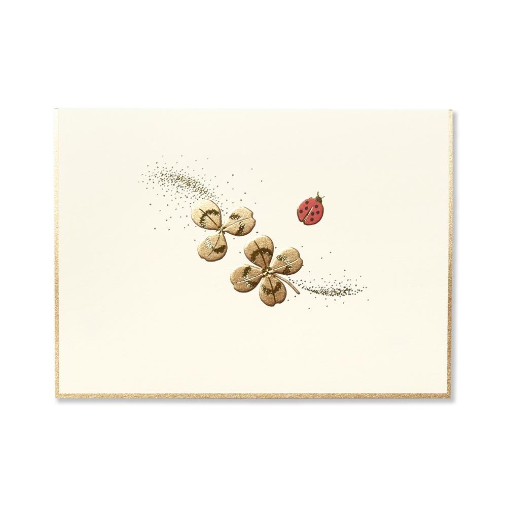 カード Ladybird テントウムシ多目的