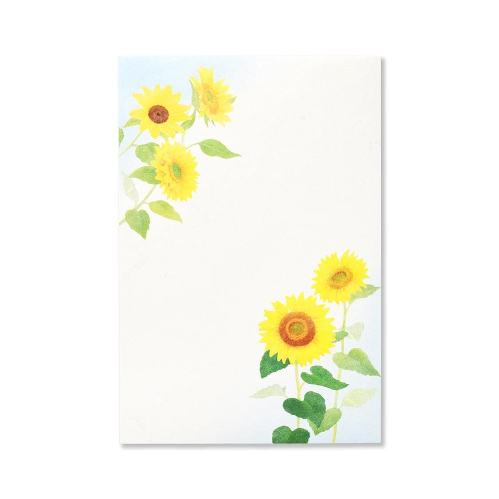 はがき 向日葵双紙 ３枚入り レター カード専門店 G C Press Online Shop