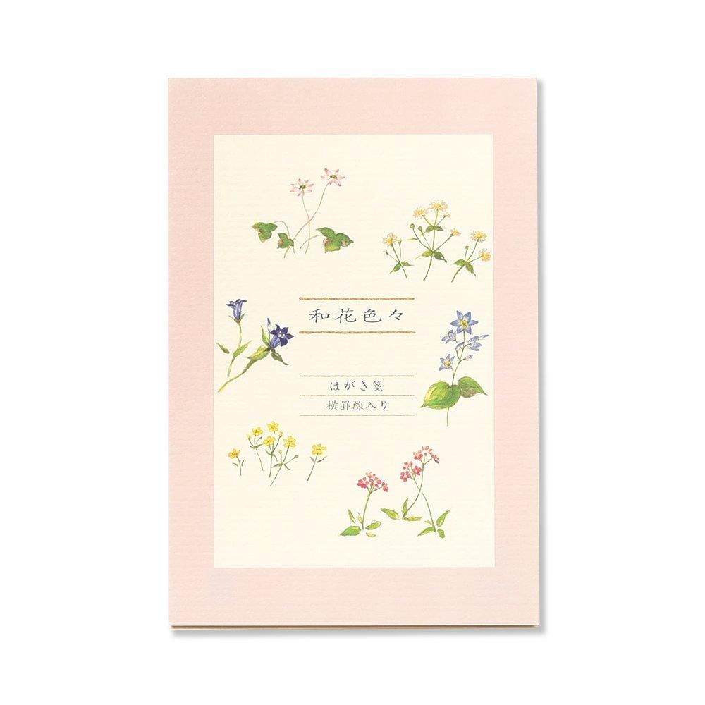 はがき箋 和花色々 横罫線入り - レター・カード専門店 - G.C. はがき箋 和花色々 横罫線入り - レター・カード専門店 - G.C.