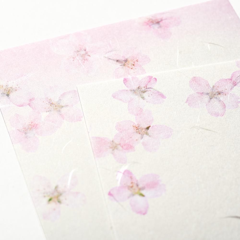 はがき箋 紙司撰 SAKURA - レター・カード専門店 - G.C.