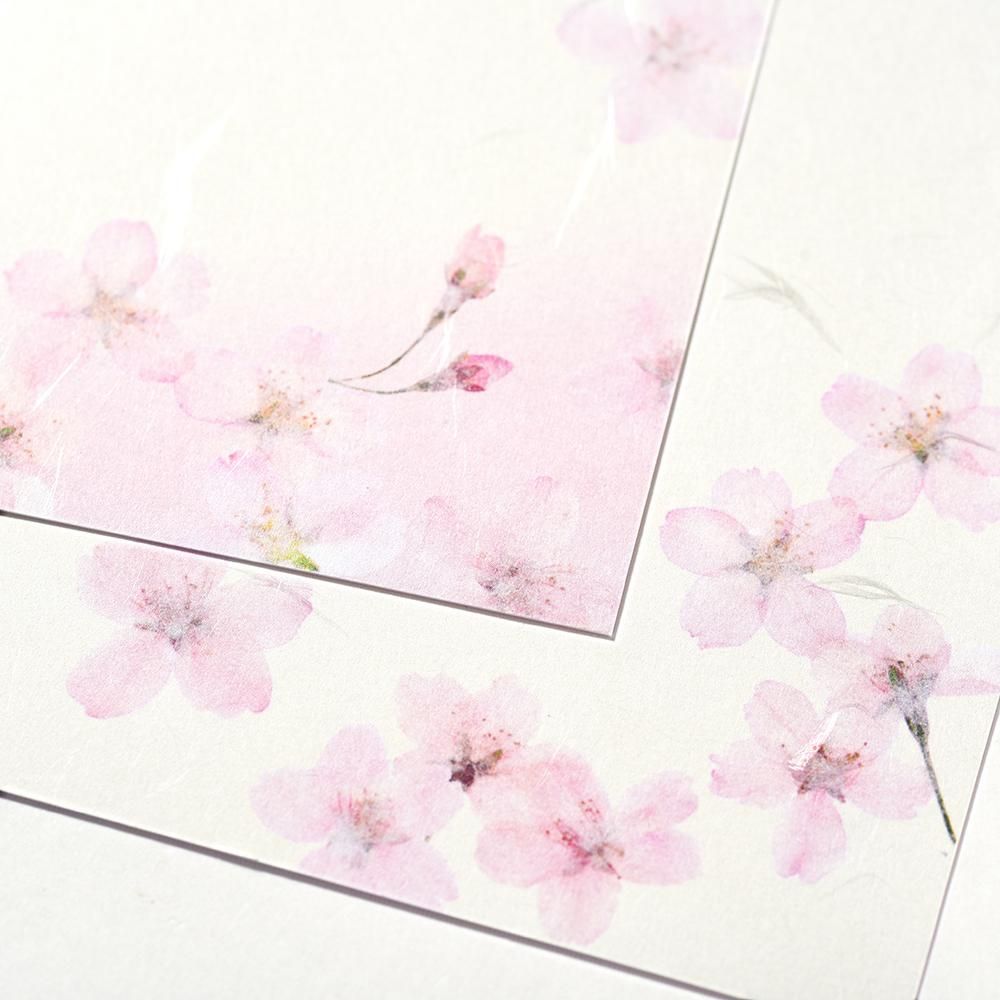 はがき箋 紙司撰 SAKURA - レター・カード専門店 - G.C. はがき箋 紙司撰 SAKURA - レター・カード専門店 - G.C.