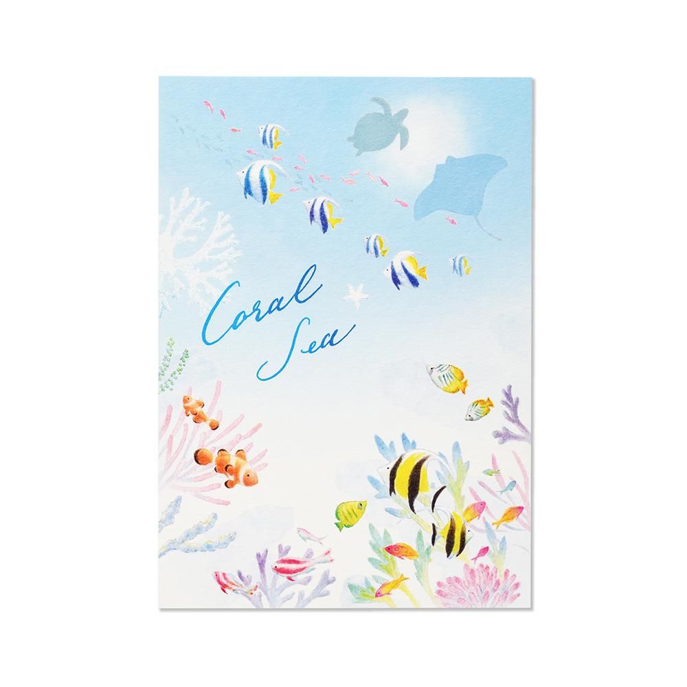 便箋 コーラル シー - レター・カード専門店 - G.C.PRESS ONLINE 便箋 コーラル シー - レター・カード専門店 - G.C.PRESS ONLINE