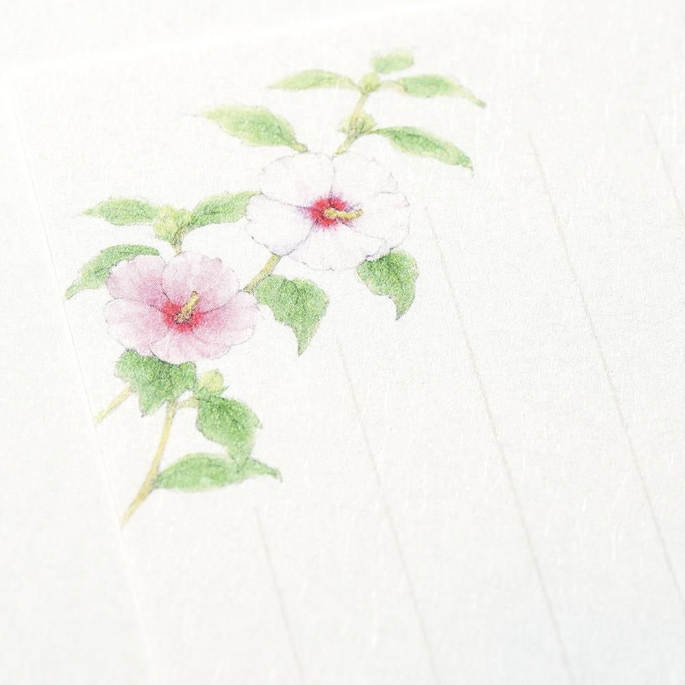 一筆箋 紙司撰 夏花の一筆箋 - レター・カード専門店 - G.C. 一筆箋 紙司撰 夏花の一筆箋 - レター・カード専門店 - G.C.