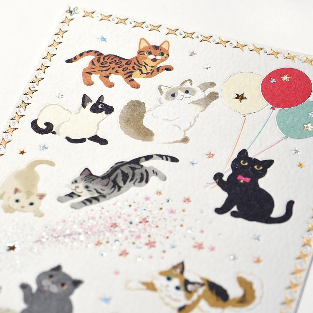 猫*様 <関係者限定>ポケモン　ポストカードセット非売品 猫*様 <関係者限定>ポケモン ポストカードセット非売品（楽天