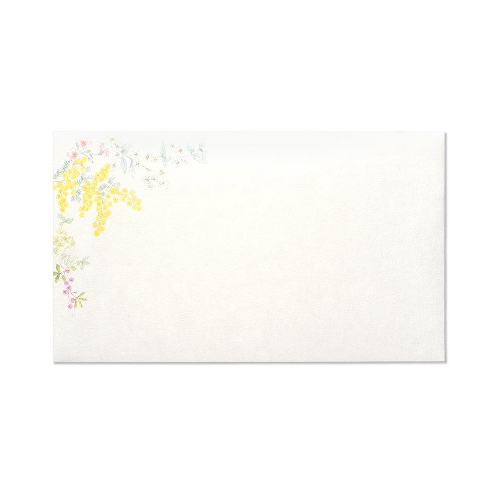 寒いにゃ専用4冊 封筒 ジョリィ ジャルダン ヨコ罫 - レター・カード専門店 - G.C.PRESS