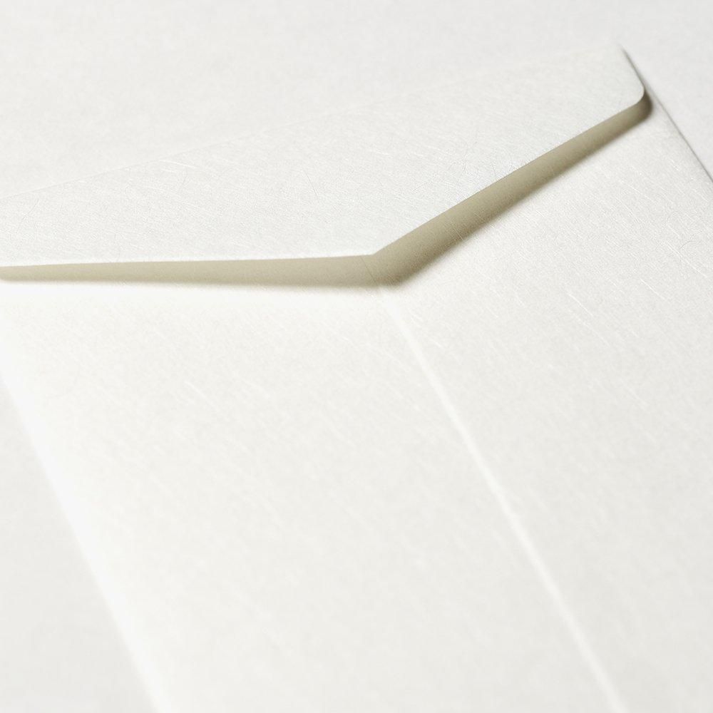 本美濃紙便箋、封筒セット Amazon.co.jp: 今日の手紙レターセット【椿】美濃和紙 封筒 便箋