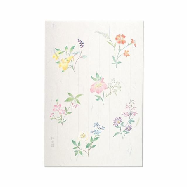 <img class='new_mark_img1' src='https://img.shop-pro.jp/img/new/icons11.gif' style='border:none;display:inline;margin:0px;padding:0px;width:auto;' />Ϥ䵡β