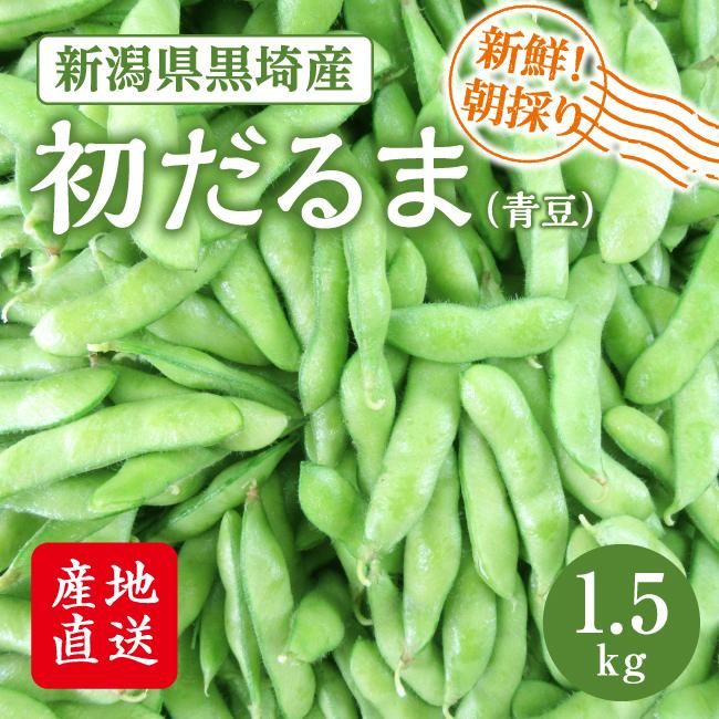 【makiminさん専用】新潟黒埼産枝豆 初だるま makiminさん専用】新潟黒埼産枝豆 初だるま - メルカリ
