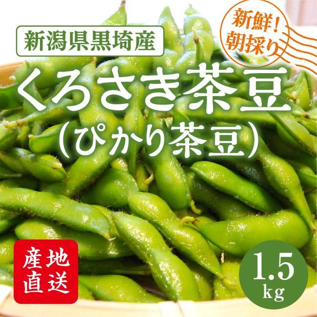 新潟県黒埼茶豆A品 産地直送朝獲れ 産地直送 数量限定 予約商品 7月下旬〜8月中旬発送】枝豆 新潟