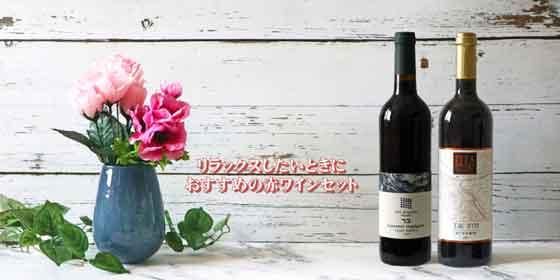 フルーティで軽やかな飲み心地の赤ワイン2本セット