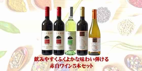 飲みやすく個性豊かな味わい弾ける赤白ワイン5本セット