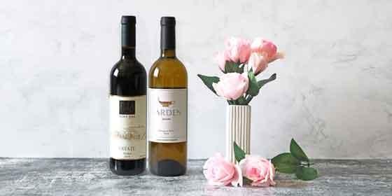 ˭���ʰ��߿��ϤΥ��٥�ͤȥ��쥬��Ȥʥ����ɥ�