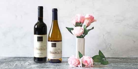 ˭ʰ߿ϤΥ٥ͤȥ쥬Ȥʥɥ