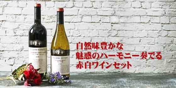 魅惑のハーモニーを奏でるティシュビ・エステートの赤白ワインセット