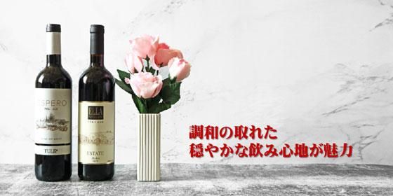 調和の取れた穏やかな飲み心地が魅力の赤ワイン2本セット