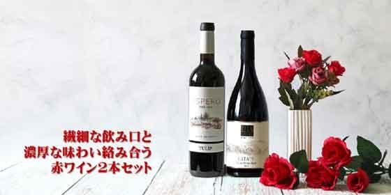 繊細な飲み口と濃厚な味わい絡み合う赤ワイン2本セット