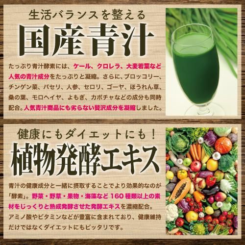 サプリメントガーデン 青汁酵素粒 大容量６か月分 360粒