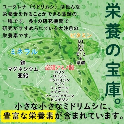 サプリメントガーデン | ユーグレナ&スピルリナ粒 大容量約6か月分 サプリメントガーデン | ユーグレナ&スピルリナ粒 大容量約6か月分