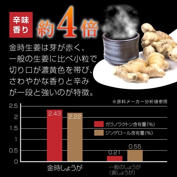 Amazon.co.jp: 金時しょうが粉末(金時生姜) 100g x 3ヶセット