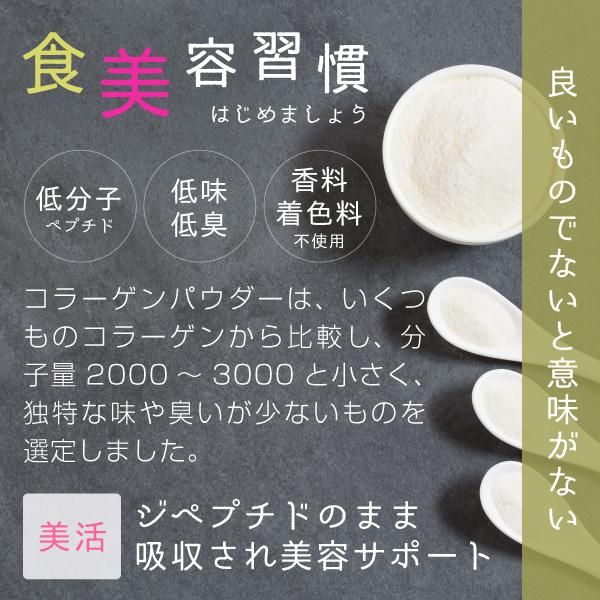フィッシュコラーゲン粉末 100% 顆粒 500g 送料無料 ニチエー フィッシュコラーゲン粉末 100% 顆粒 500g 送料無料 ニチエー