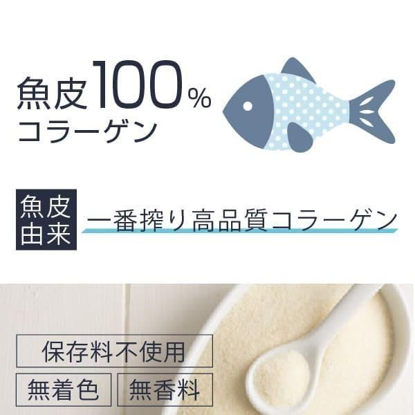 フィッシュコラーゲン粉末 100% 顆粒 500g 送料無料 ニチエー