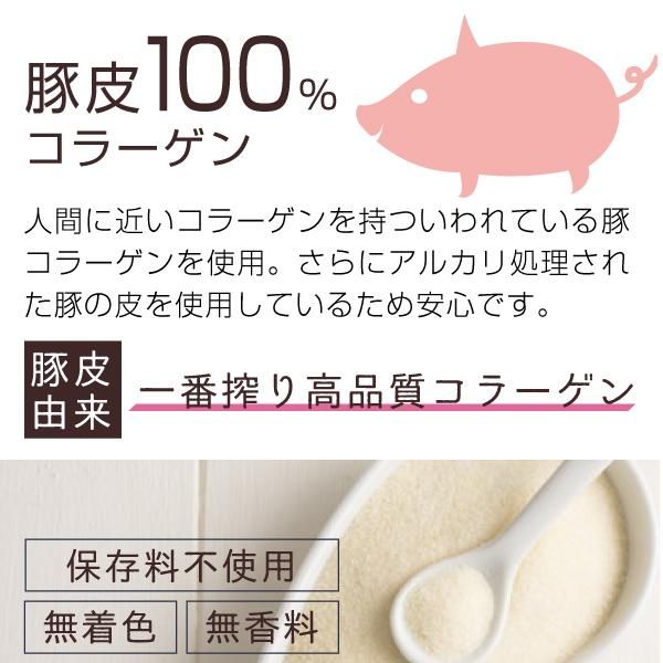 豚コラーゲン粉末 100% 顆粒 500g 送料無料 ニチエー 豚コラーゲン粉末 100% 顆粒 500g 送料無料 ニチエー