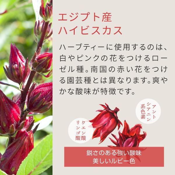 ハイビスカスティー オーガニック ファインカット 100g 送料無料 ニチエー ハイビスカスティー オーガニック ファインカット 100g 送料無料 ニチエー