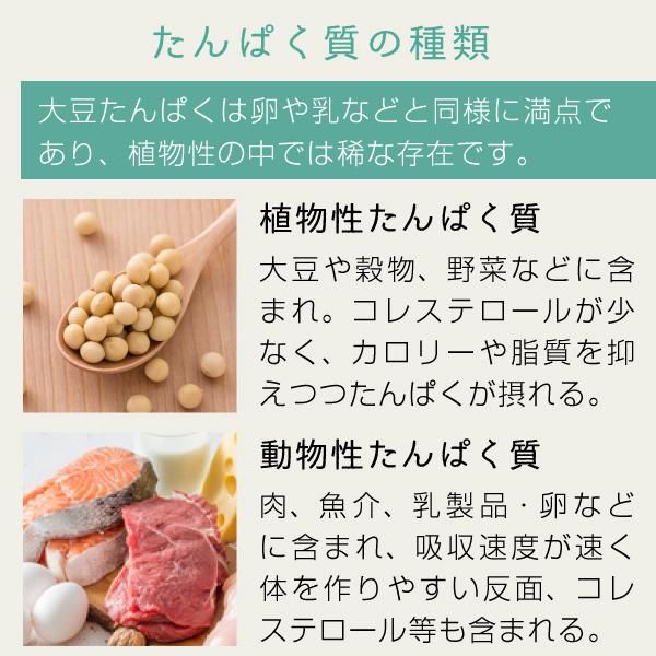 大豆プロテイン 100g 送料無料 ニチエー