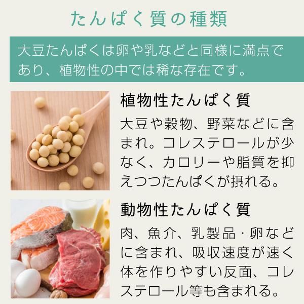 大豆プロテイン アメリカ産 5kg（1kg×5袋） 【リニューアル