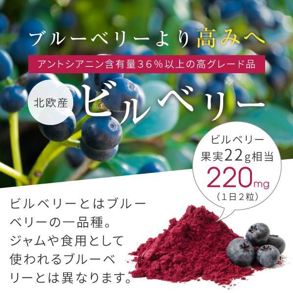 ビルベリー ルテイン ゼアキサンチン 180粒 送料無料 ニチエー
