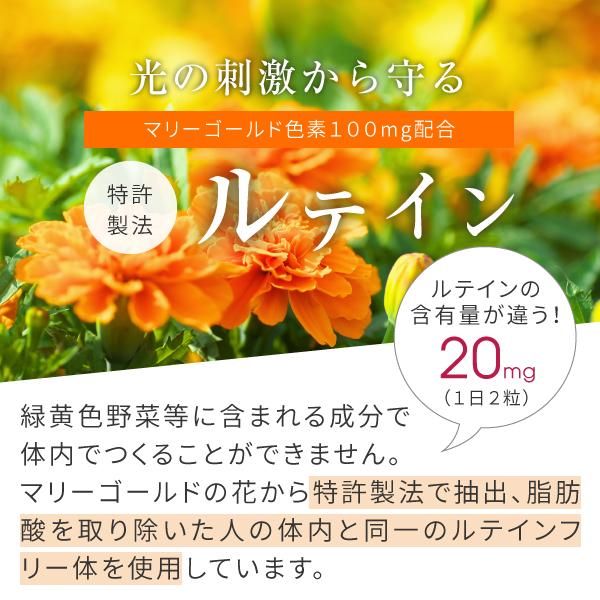 ビルベリー ルテイン ゼアキサンチン 180粒 送料無料 ニチエー ビルベリー ルテイン ゼアキサンチン 180粒 送料無料 ニチエー