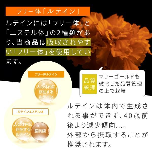 ビルベリー ルテイン ゼアキサンチン 180粒 送料無料 ニチエー ビルベリー ルテイン ゼアキサンチン 180粒 送料無料 ニチエー