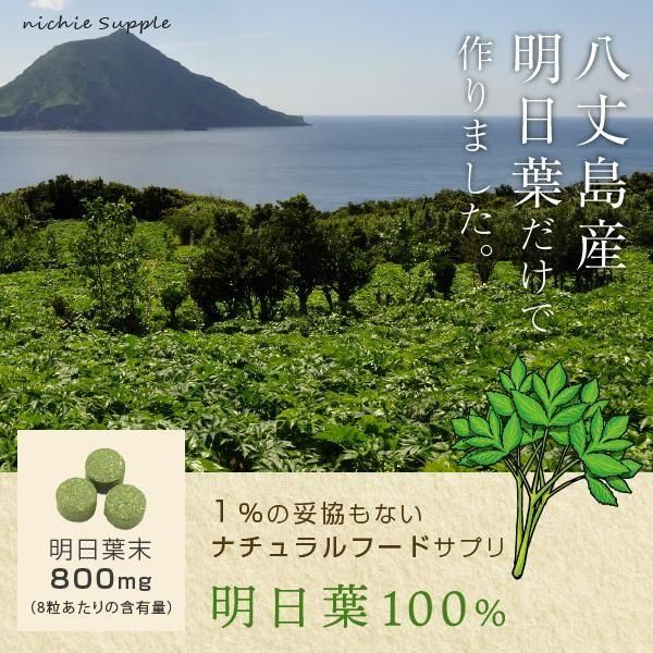 完売 天然＊野生【スーパーフード＊明日葉の種/100粒➕おまけ】完全