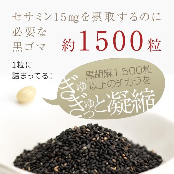 黒ごま セサミン サプリメント 30粒 送料無料 ニチエー