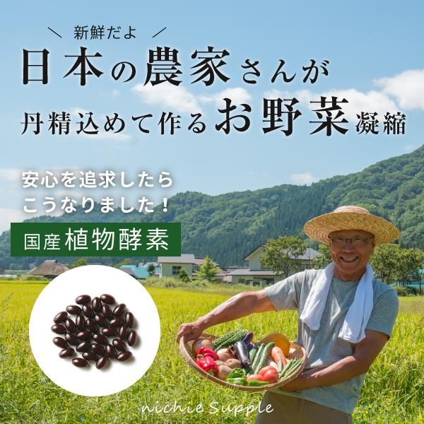 植物 酵素 サプリ 120粒 送料無料 ニチエー