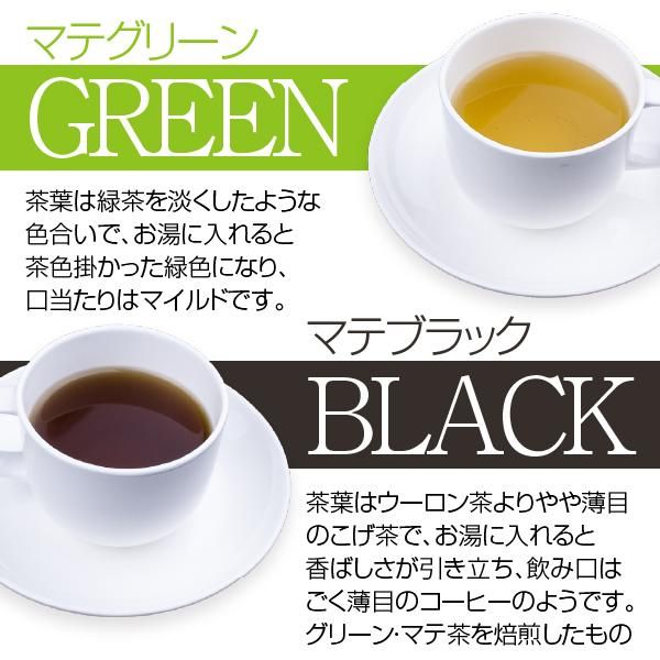マテ茶（グリーンマテ茶）ティーバッグ220g(2.2g×100包(目安包数